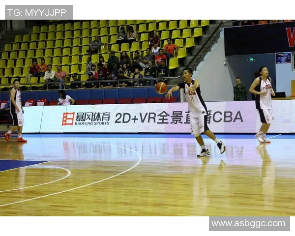 南京羽毛球队转型之路的挑战与机遇全景揭秘